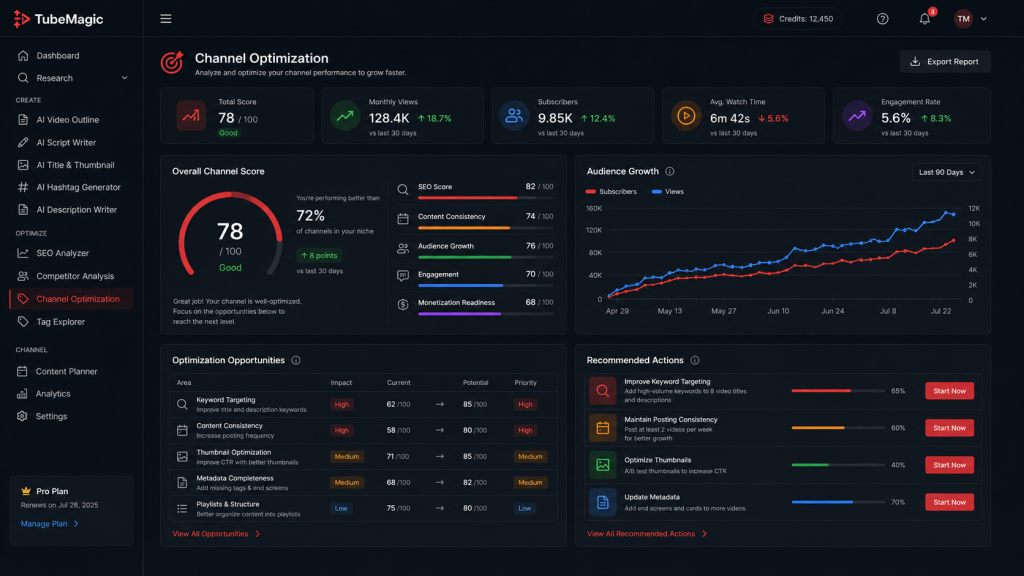 TubeMagic Channel Optimization dashboard showing SEO score, audience growth, and optimization opportunities