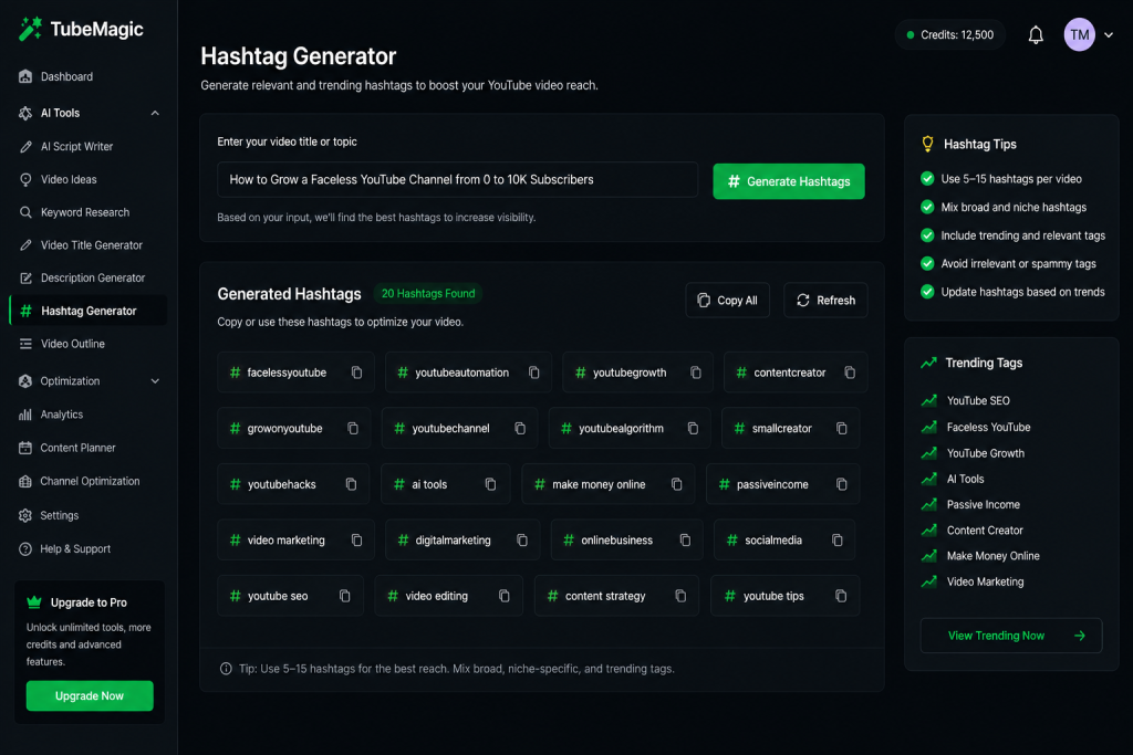 TubeMagic Hashtag Generator dashboard showing suggested hashtags for YouTube videos